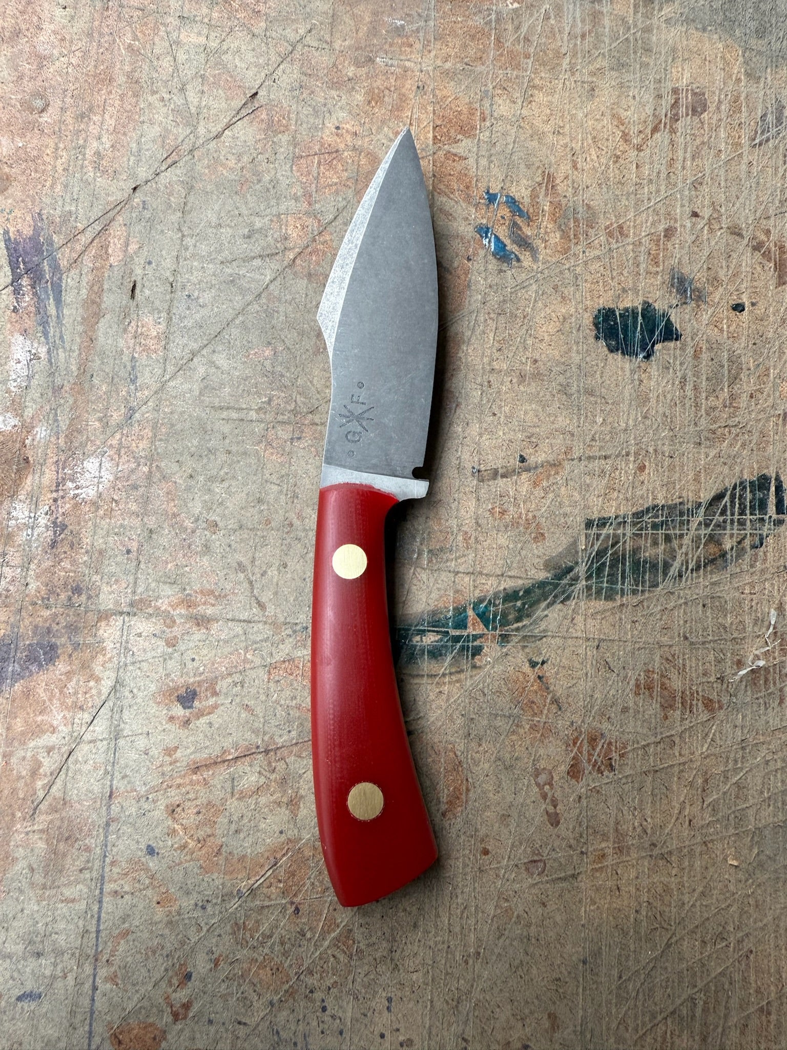 Outdoor: Bull Elk Shop Knife