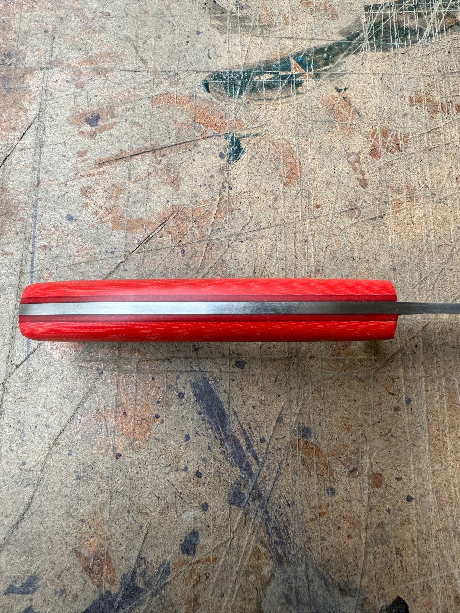 Outdoor: Bull Elk Shop Knife