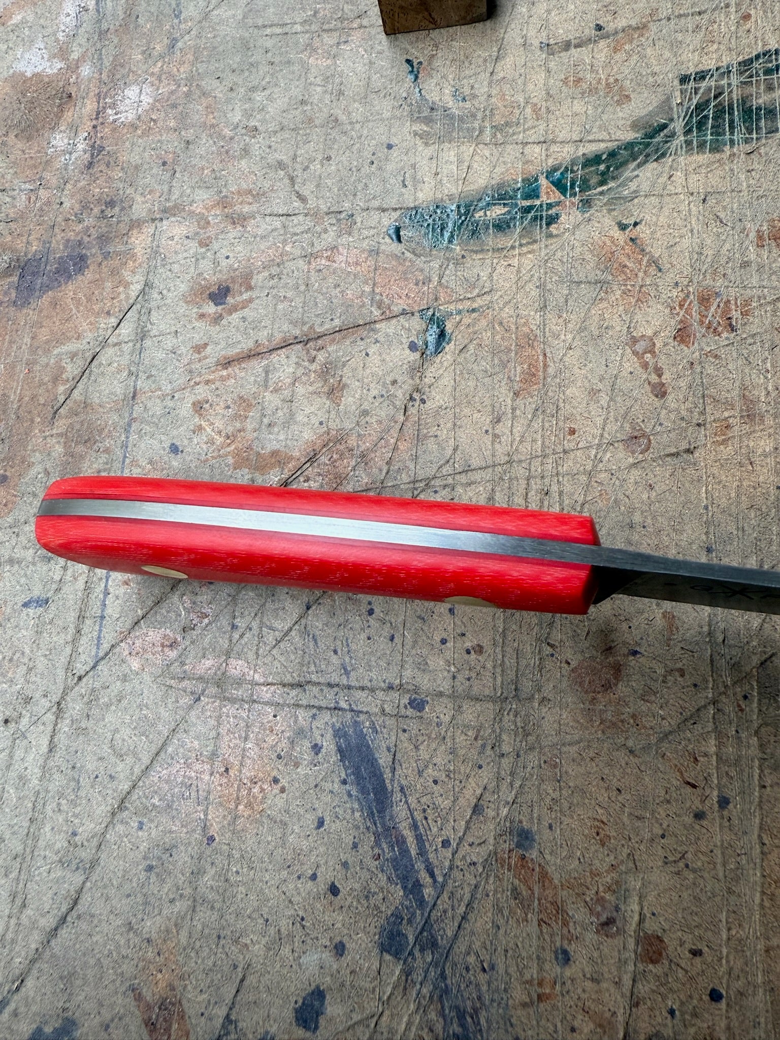 Outdoor: Bull Elk Shop Knife