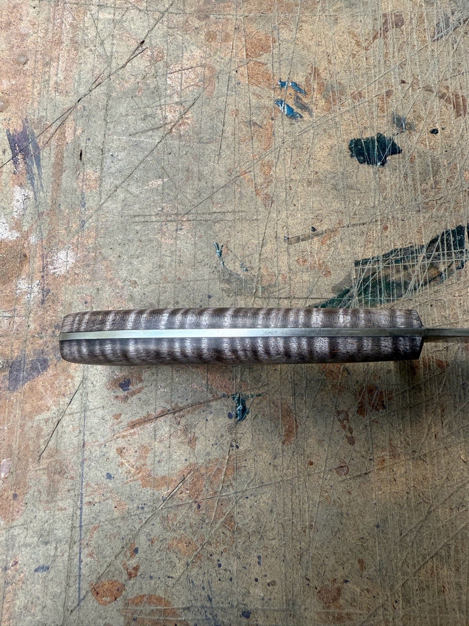 Outdoor: Bull Elk ML