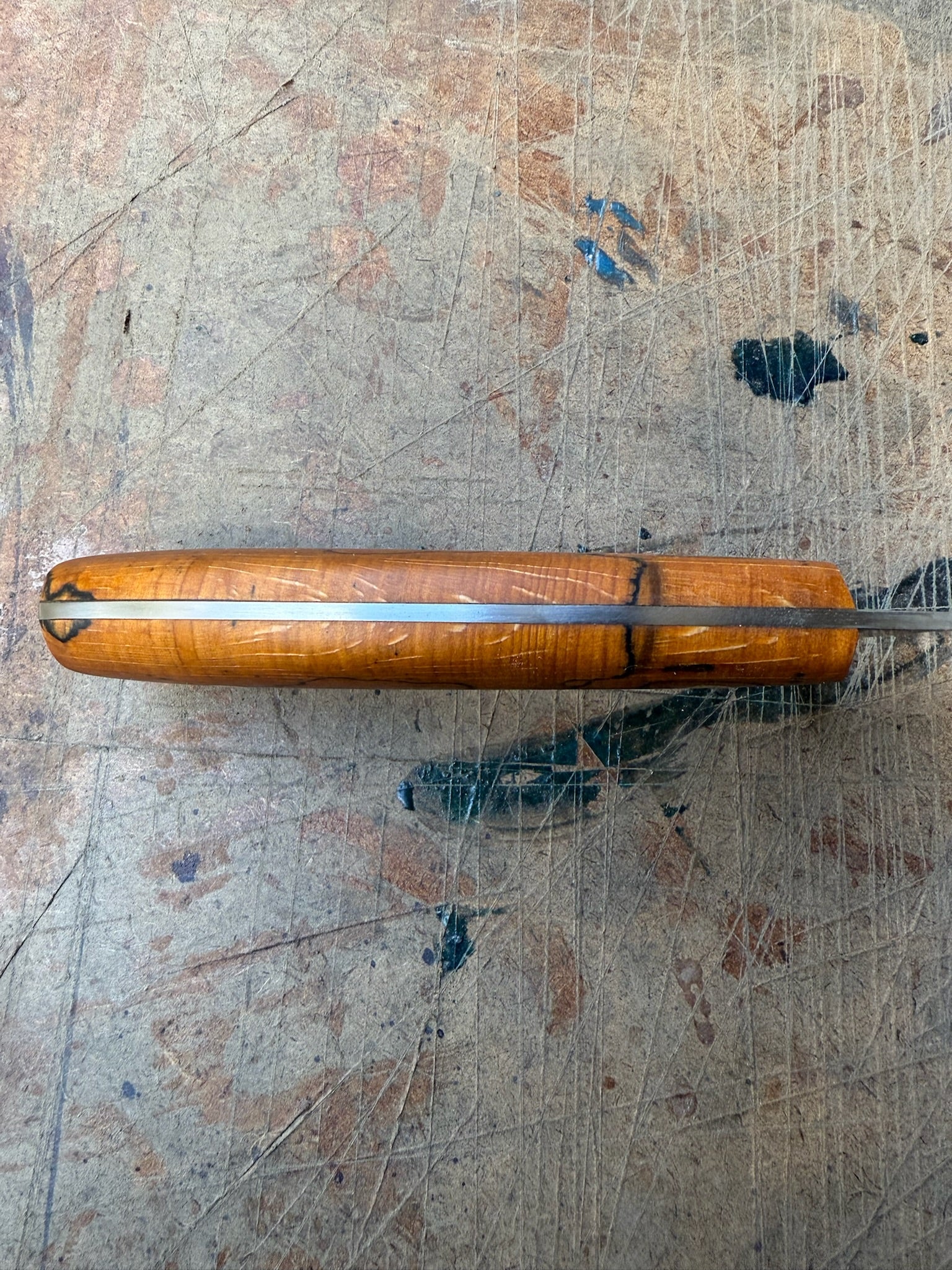 Outdoor: Bull Elk ML