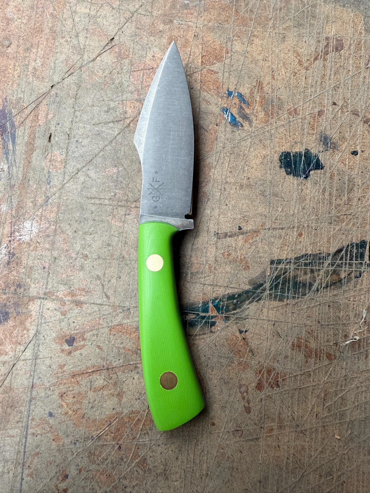 Outdoor: Bull Elk Shop Knife