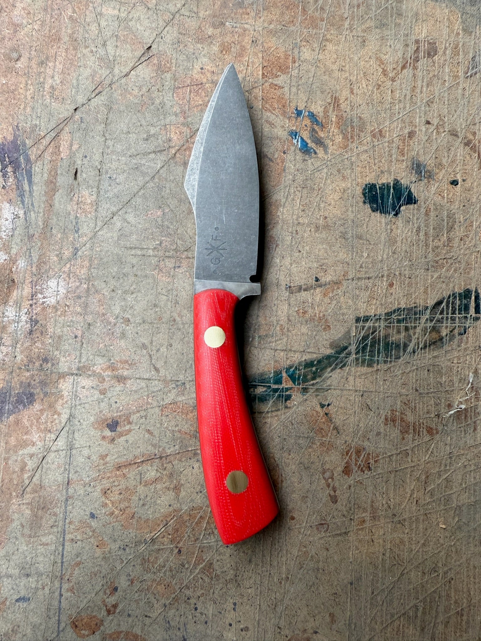 Outdoor: Bull Elk Shop Knife