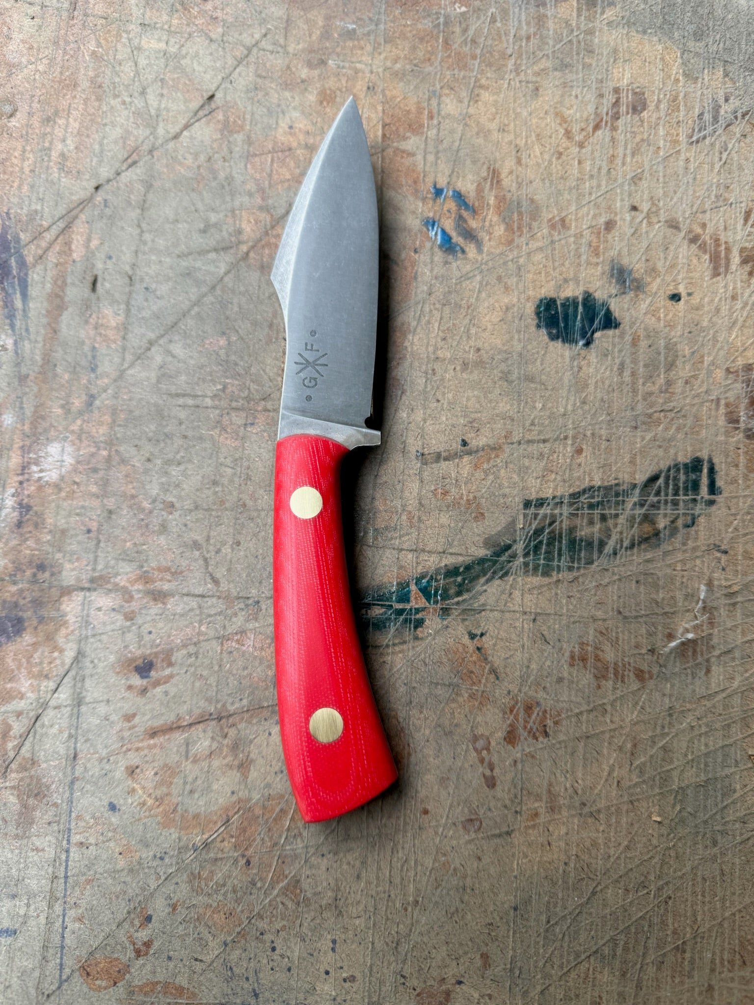 Outdoor: Bull Elk Shop Knife