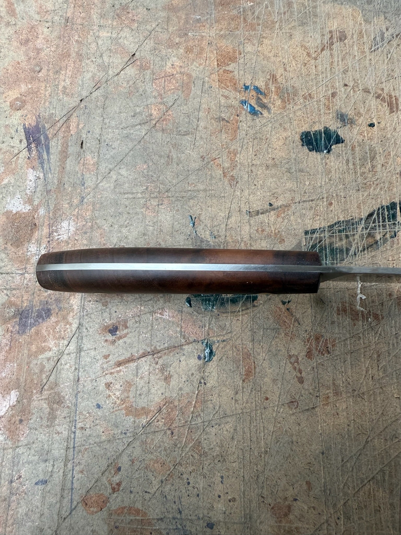 Outdoor: Bull Elk ML