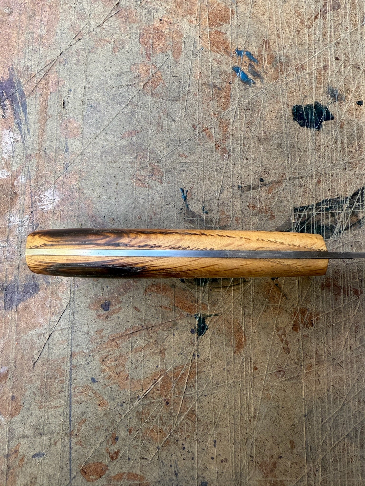 Outdoor: Bull Elk ML