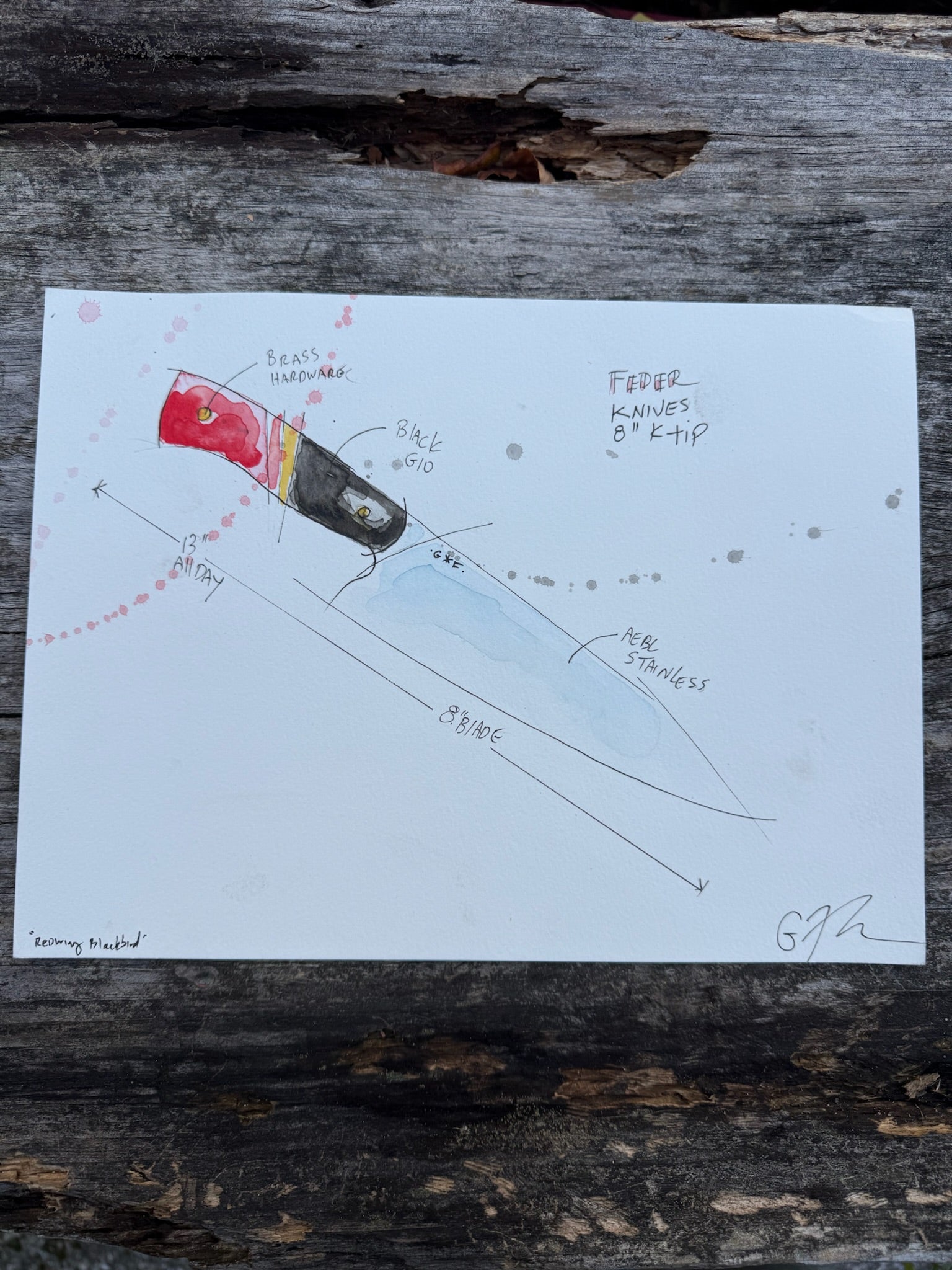 Original Watercolor "Redwing Blackbird"