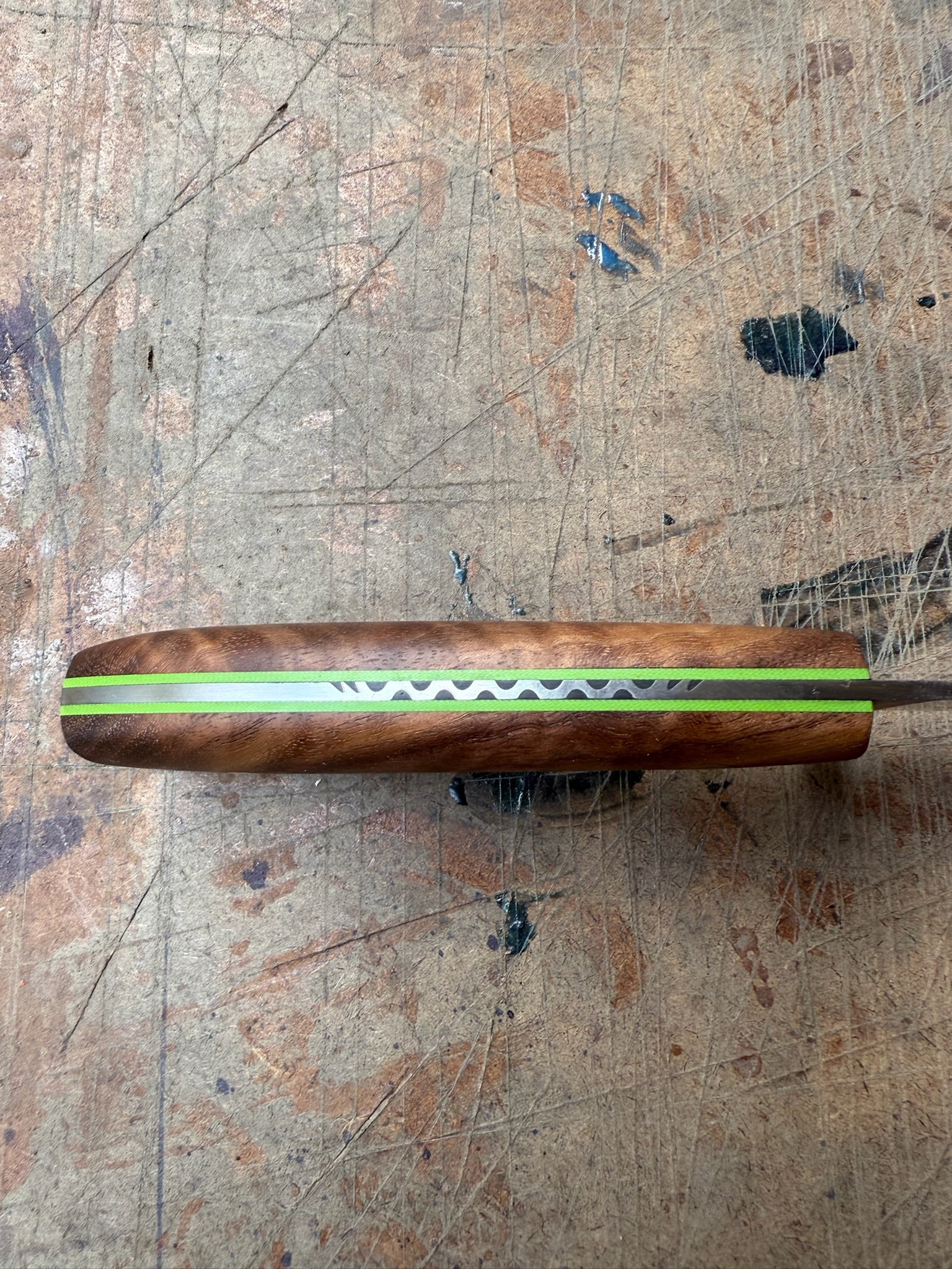 Outdoor: Bull Elk ML